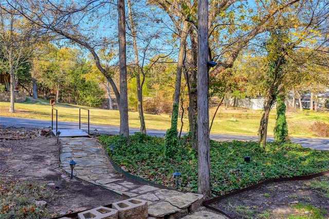 588 Lakepoint Loop, Pottsboro, TX 75076 - view of grassy yard