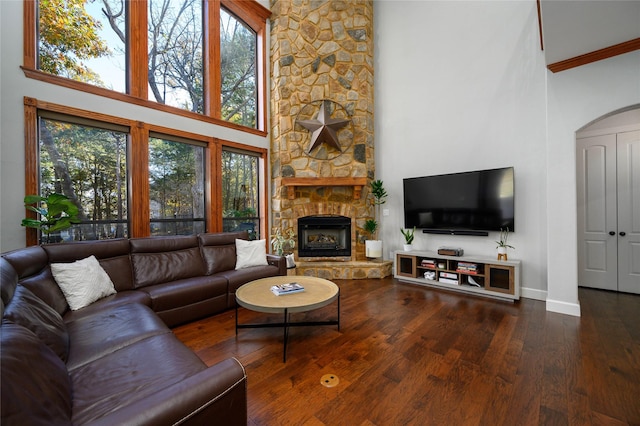 588 Lakepoint Loop, Pottsboro, TX 75076 - living area featuring a high ceiling, wood finished floors, a stone fireplace, and plenty of natural light