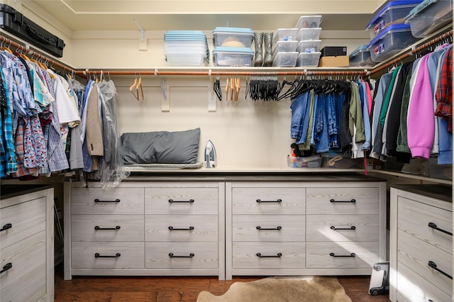 walk in closet featuring dark wood-style floors