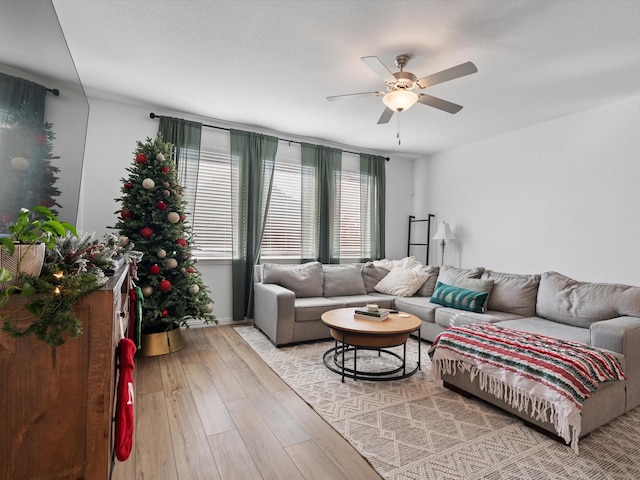 living room with ceiling fan and light hardwood / wood-style floors