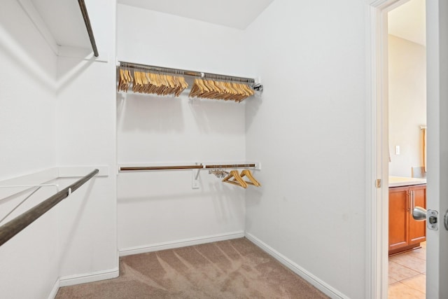 spacious closet with light carpet