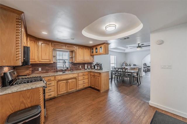 5613 Graham St, Sansom Park, TX 76114 - kitchen featuring stainless steel range with gas stovetop, ceiling fan, a sink, a tray ceiling, and backsplash