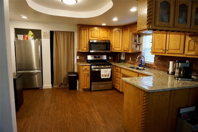 kitchen featuring sink, dark wood-type flooring, appliances with stainless steel finishes, and a tray ceiling