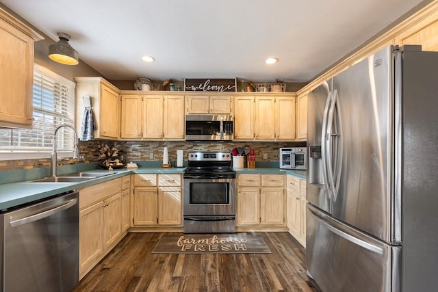 kitchen with light brown cabinets, stainless steel appliances, dark hardwood / wood-style floors, and sink