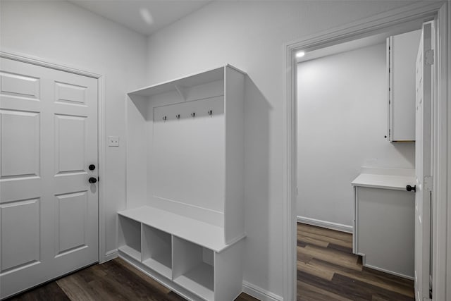 mudroom with dark hardwood / wood-style flooring