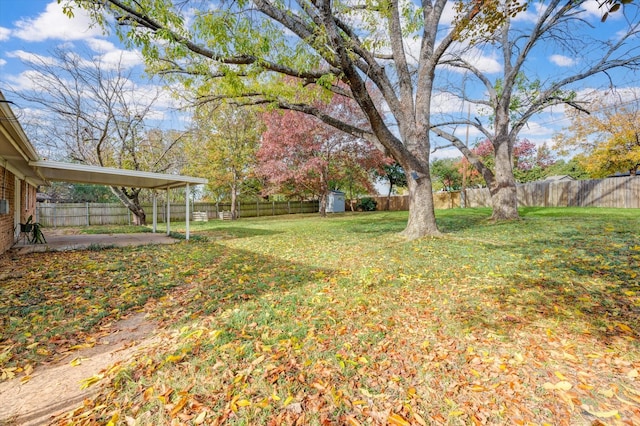 view of yard featuring a patio and a storage unit