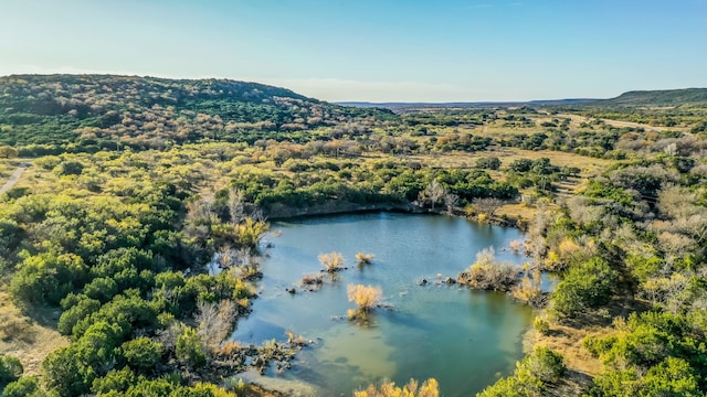 TBD Highway 16, Strawn TX, 76475 land for sale