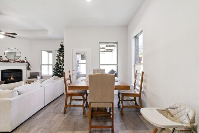 dining space featuring ceiling fan and wood-type flooring