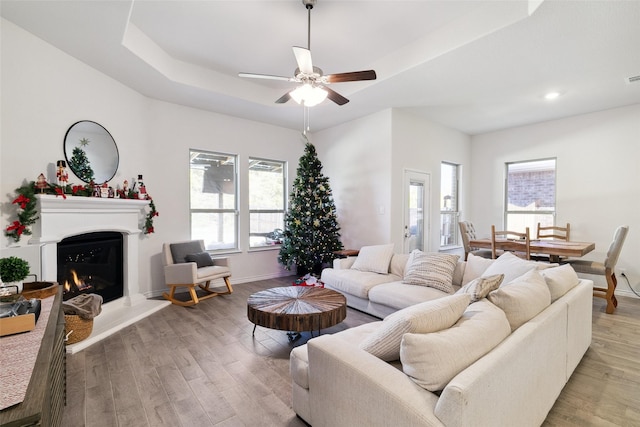 living room featuring a raised ceiling, ceiling fan, and hardwood / wood-style floors