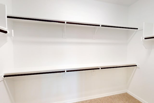 5000 Greenbrook Rd, Denton, TX 76226 - spacious closet with carpet floors