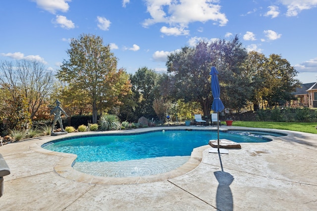 view of pool with a patio