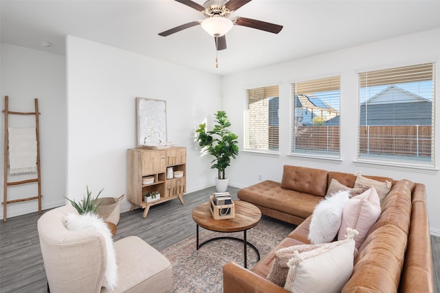 living room featuring ceiling fan and dark hardwood / wood-style floors