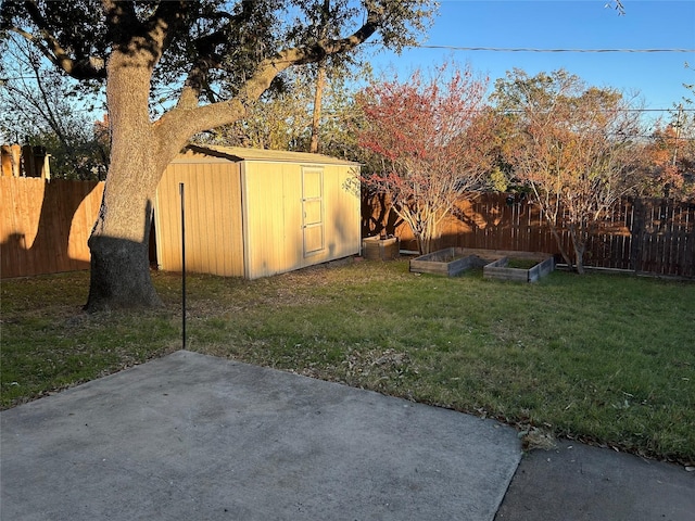 view of yard with a patio area and a storage unit