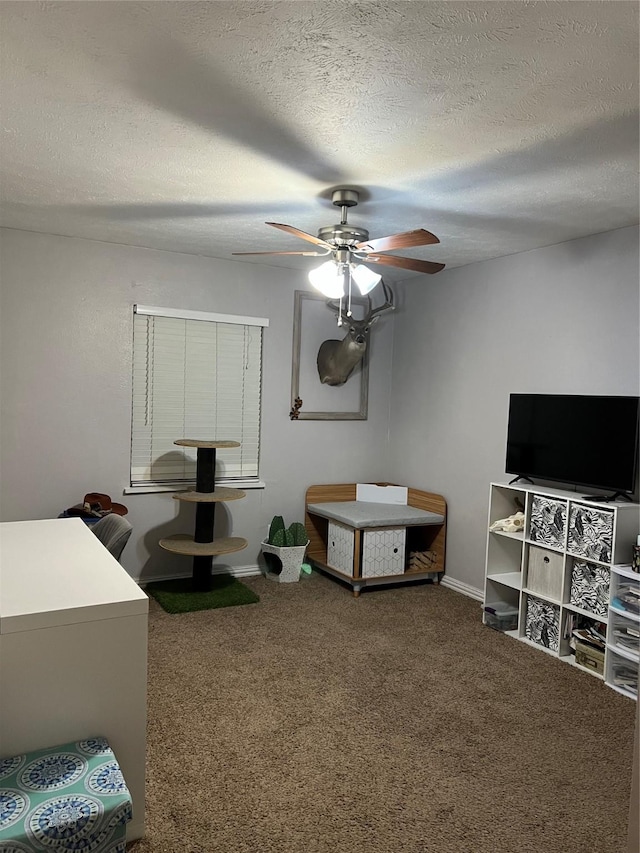 interior space with ceiling fan and a textured ceiling