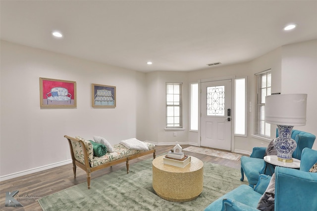 living area with wood-type flooring and a healthy amount of sunlight