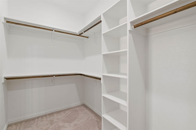 walk in closet with light colored carpet