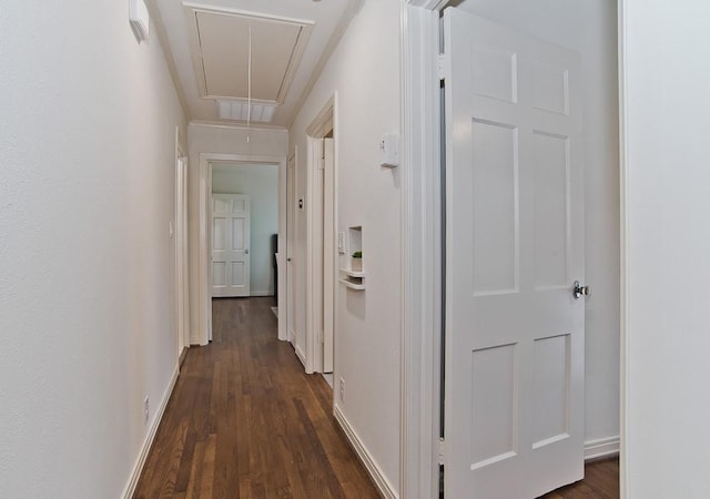 hallway with dark hardwood / wood-style floors