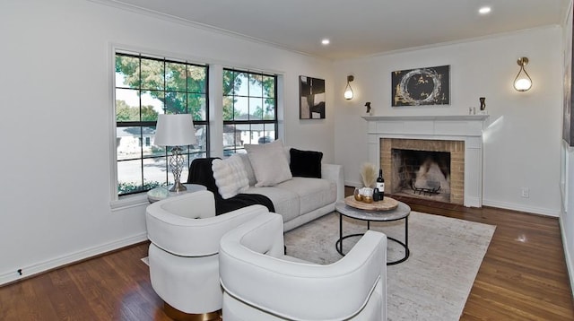 living room with crown molding, a fireplace, and dark wood-type flooring