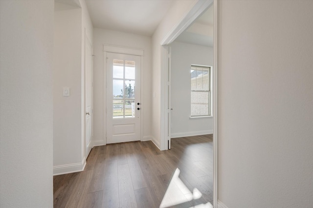 entryway with hardwood / wood-style floors