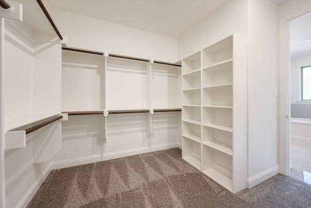 walk in closet featuring carpet