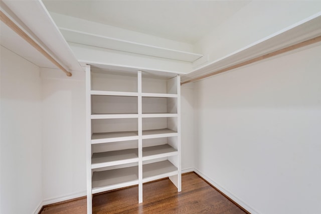 walk in closet with dark wood-type flooring