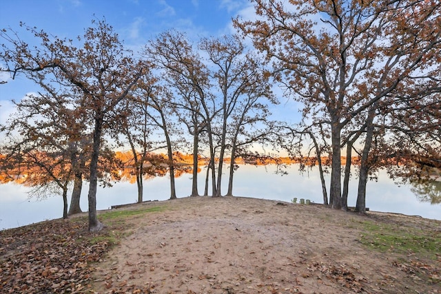 property view of water