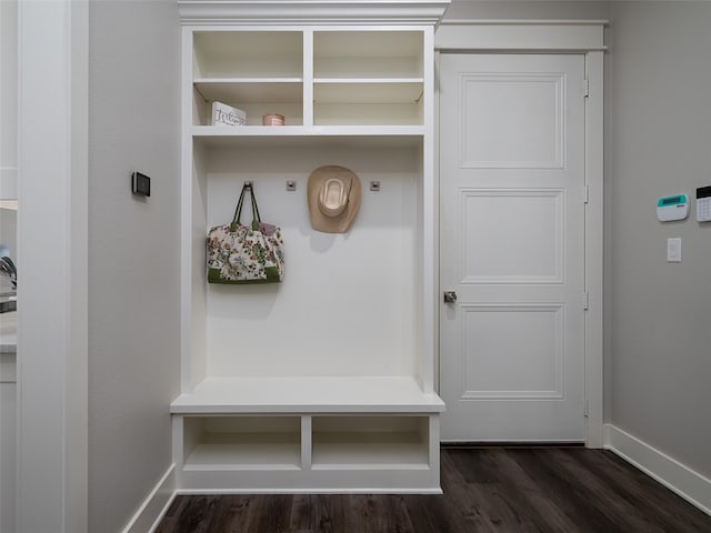 mudroom featuring dark hardwood / wood-style floors