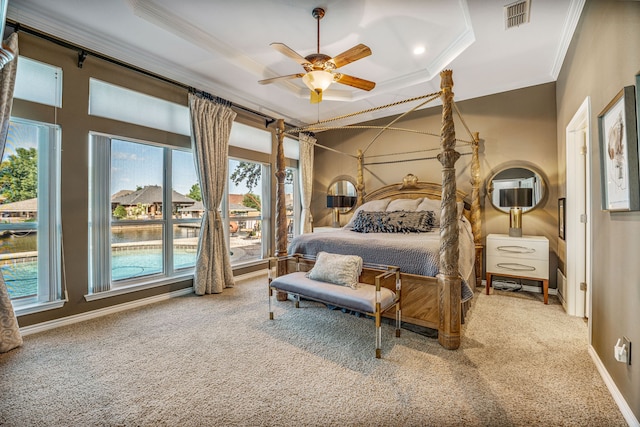 bedroom featuring a raised ceiling, multiple windows, ceiling fan, and carpet floors