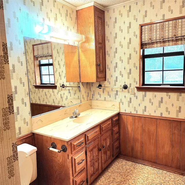 bathroom with wooden walls, crown molding, vanity, and toilet