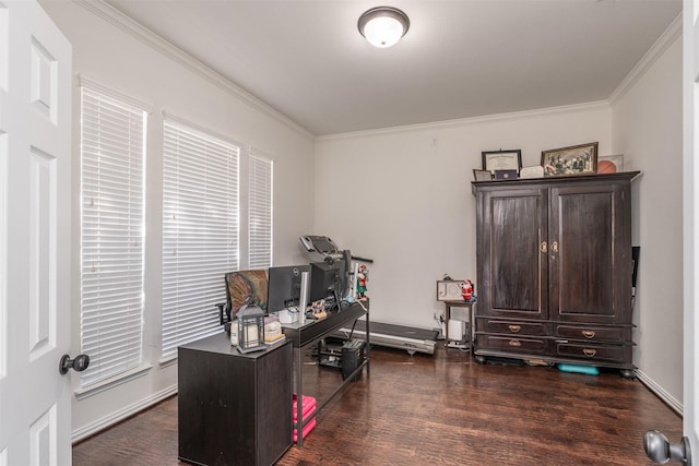 office featuring dark wood-type flooring and ornamental molding