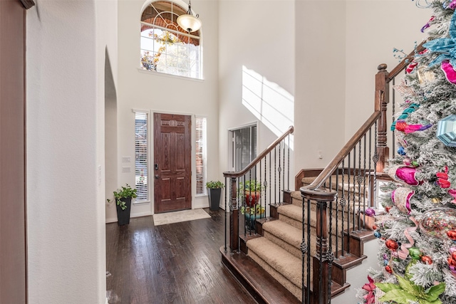 foyer with a towering ceiling and dark wood-type flooring