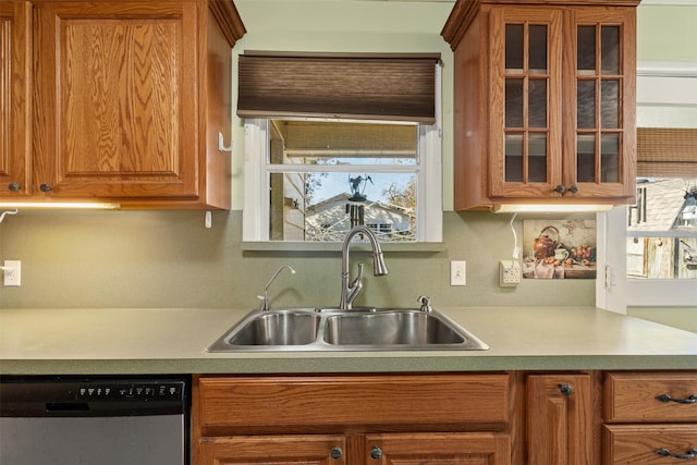 kitchen with sink and stainless steel dishwasher