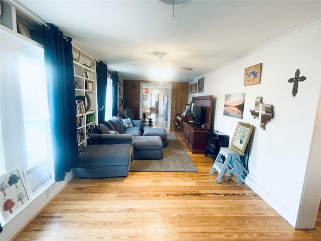 living room featuring ceiling fan, light wood-type flooring, crown molding, and a wealth of natural light