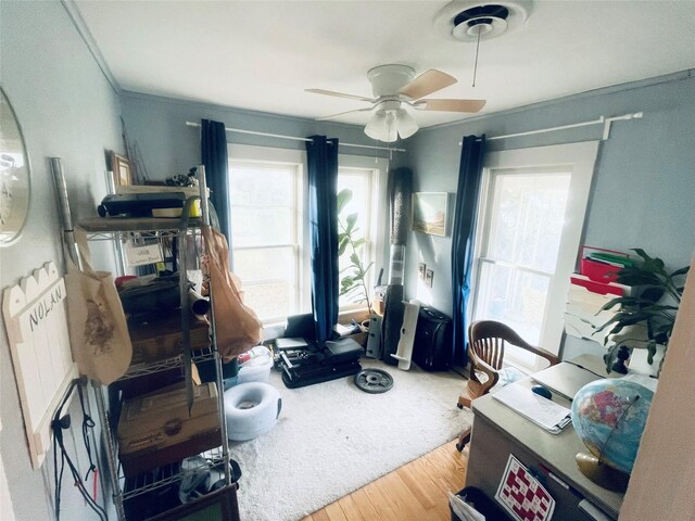 office area with ceiling fan, wood-type flooring, and ornamental molding