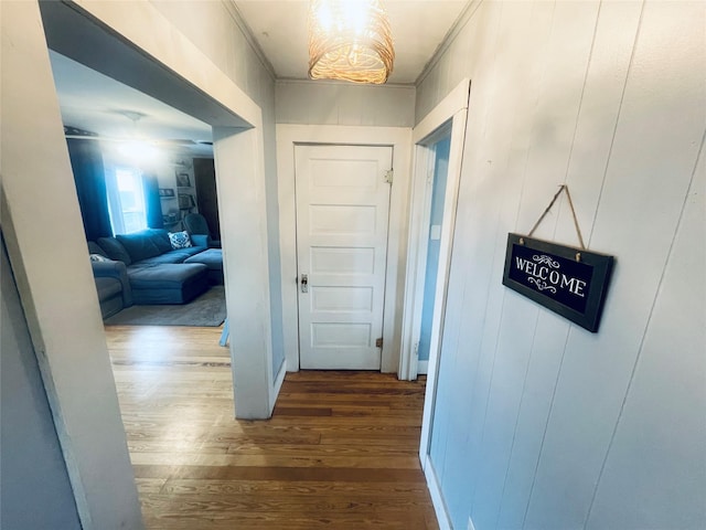 hall featuring dark hardwood / wood-style flooring and ornamental molding