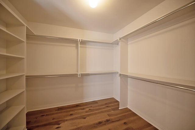 spacious closet with dark hardwood / wood-style flooring