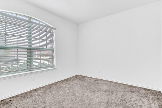 spare room with carpet and a wealth of natural light