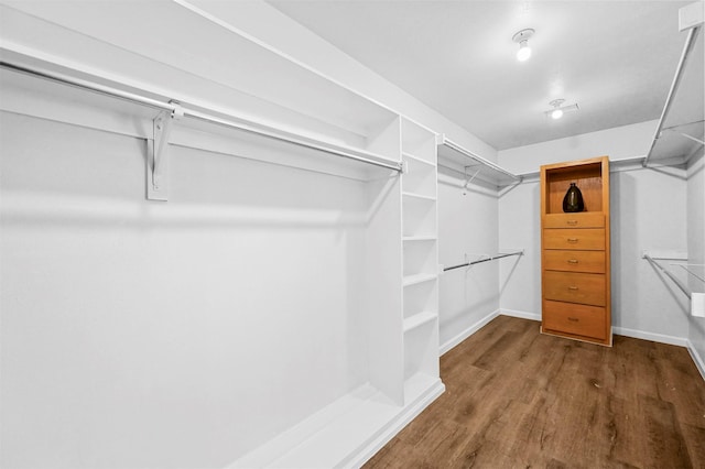 spacious closet featuring hardwood / wood-style flooring