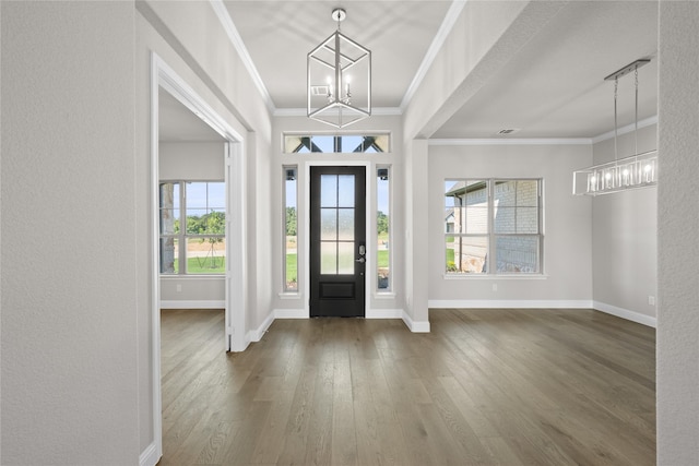 entryway featuring a chandelier, a healthy amount of sunlight, and wood-type flooring