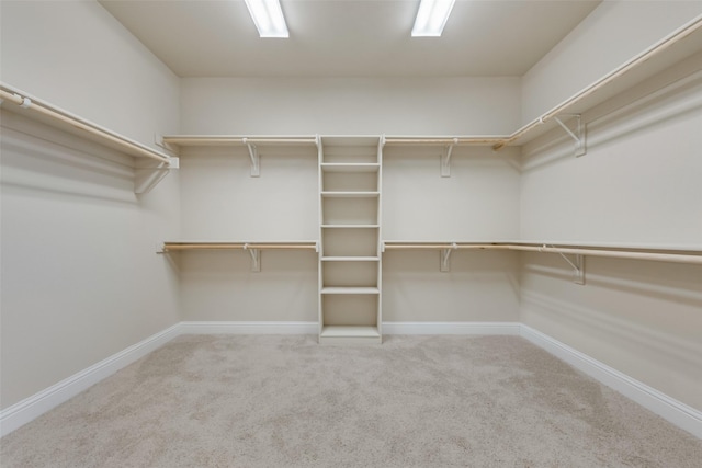 spacious closet with carpet floors