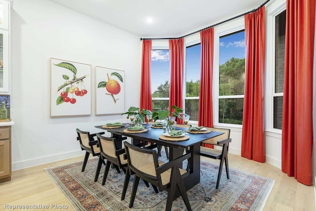 dining space featuring light hardwood / wood-style floors and a healthy amount of sunlight