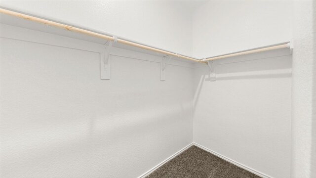 unfurnished bedroom featuring a closet and carpet floors