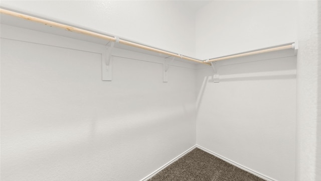 walk in closet featuring carpet flooring