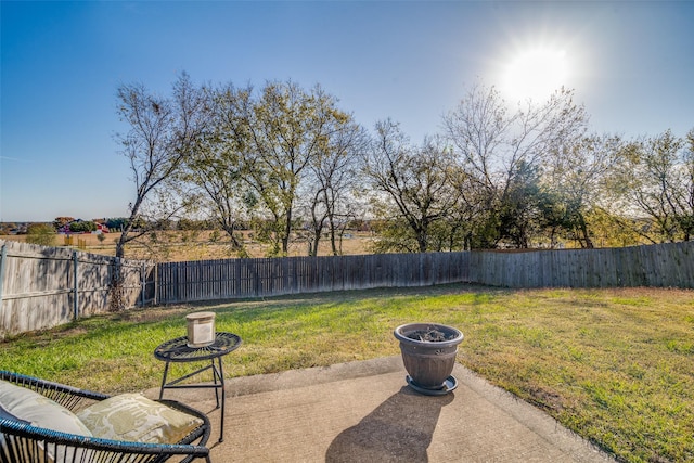 view of yard featuring a patio area