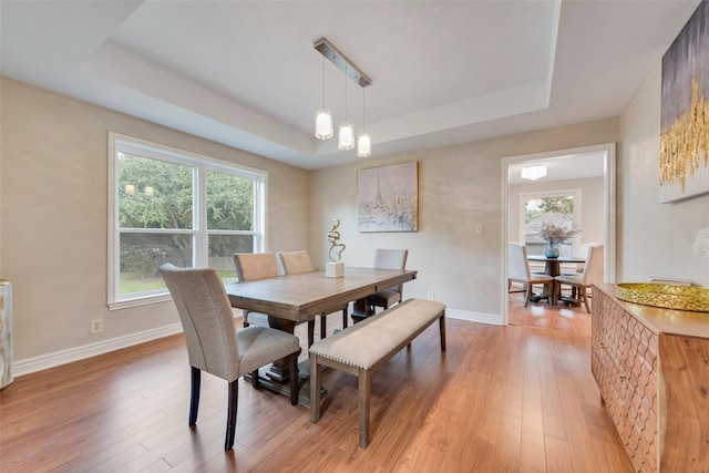 dining area featuring a tray ceiling and light hardwood / wood-style floors