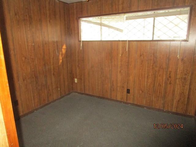 carpeted empty room featuring wooden walls