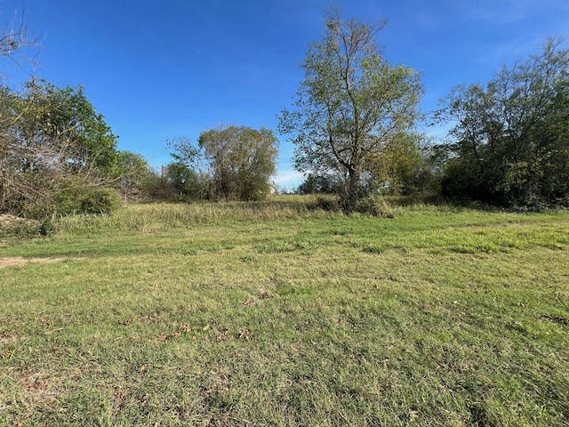 view of yard with a rural view