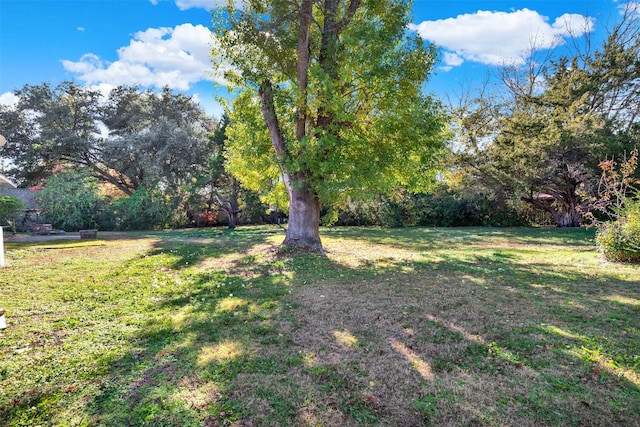 view of yard