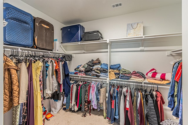 walk in closet with carpet floors