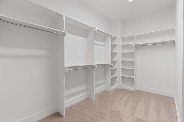 spacious closet with light colored carpet